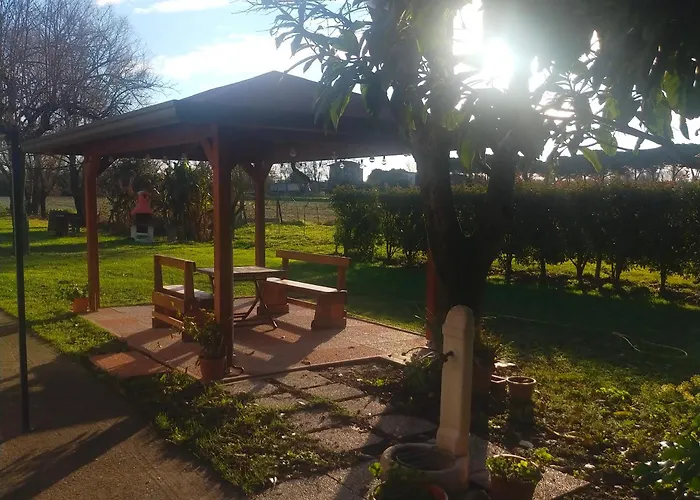 Mimoza Camper 비비오네